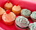 Jumbo Cupcakes